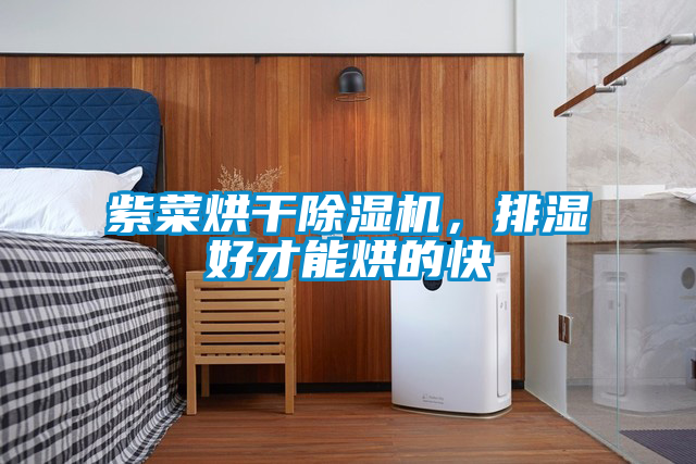 紫菜烘干除濕機,排濕好才能烘的快