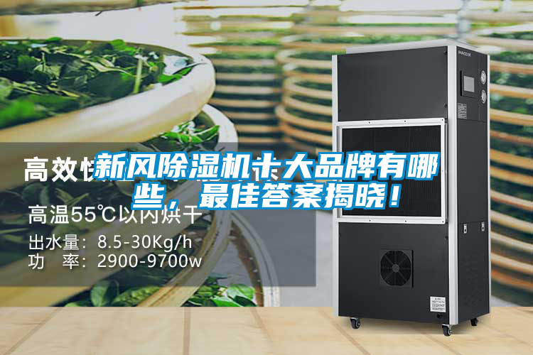 新風(fēng)除濕機(jī)十大品牌有哪些，最佳答案揭曉！