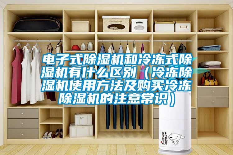 電子式除濕機(jī)和冷凍式除濕機(jī)有什么區(qū)別（冷凍除濕機(jī)使用方法及購(gòu)買(mǎi)冷凍除濕機(jī)的注意常識(shí)）