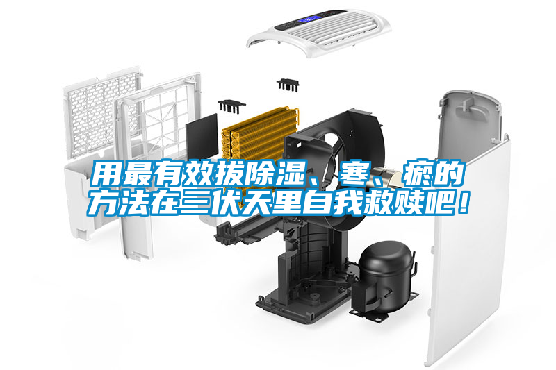 用最有效拔除濕、寒、瘀的方法在三伏天里自我救贖吧！
