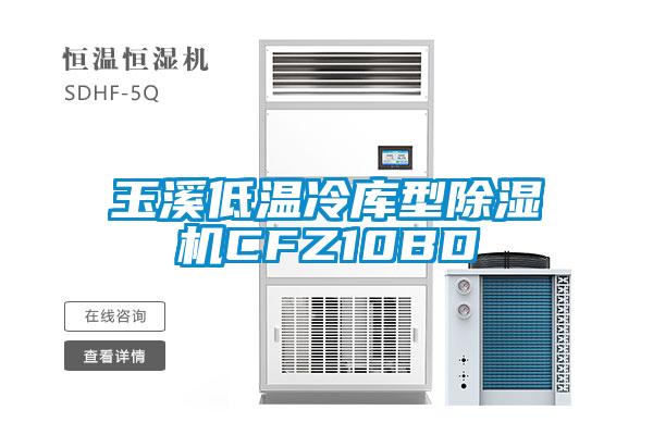 玉溪低溫冷庫型除濕機(jī)CFZ10BD