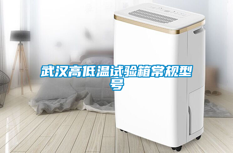 武漢高低溫試驗箱常規(guī)型號