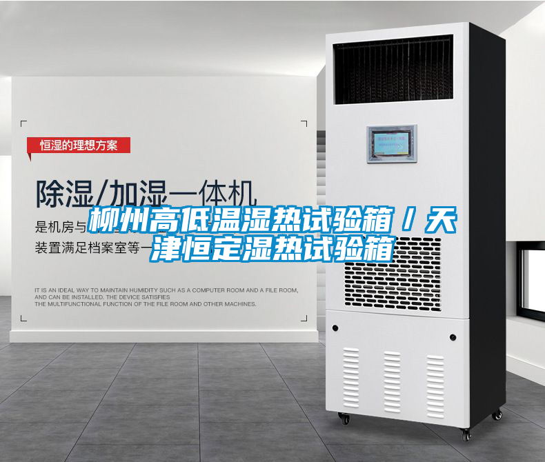 柳州高低溫濕熱試驗箱/天津恒定濕熱試驗箱