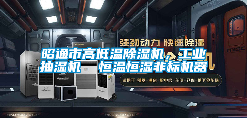 昭通市高低溫除濕機,工業(yè)抽濕機 恒溫恒濕非標機器