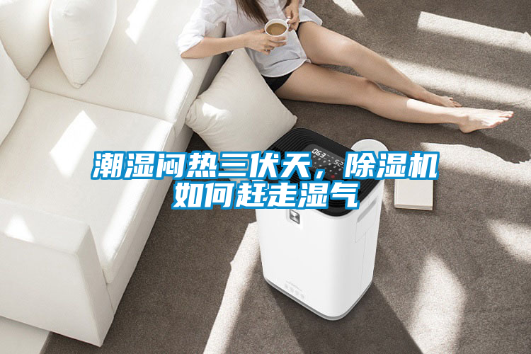 潮濕悶熱三伏天，除濕機如何趕走濕氣