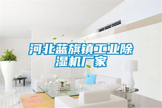 河北藍(lán)旗鎮(zhèn)工業(yè)除濕機(jī)廠家