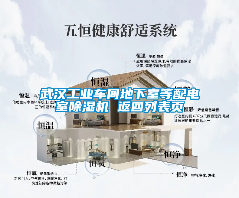 武漢工業車間地下室等配電室除濕機 返回列表頁