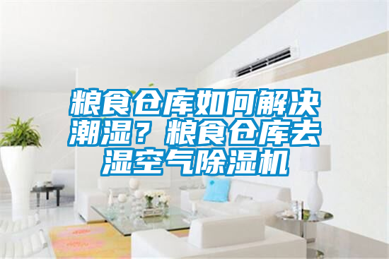 糧食倉庫如何解決潮濕？糧食倉庫去濕空氣除濕機