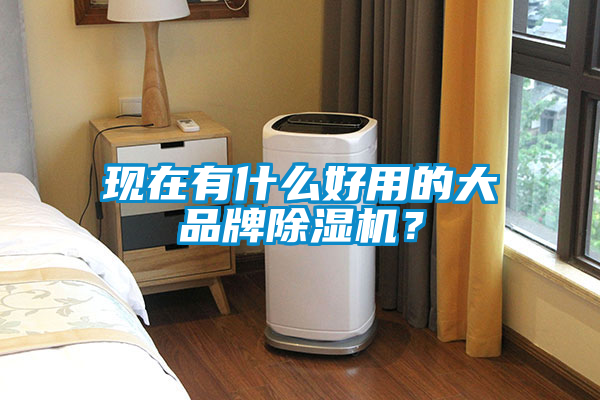 現在有什么好用的大品牌除濕機？