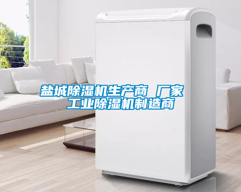 鹽城除濕機(jī)生產(chǎn)商 廠家 工業(yè)除濕機(jī)制造商