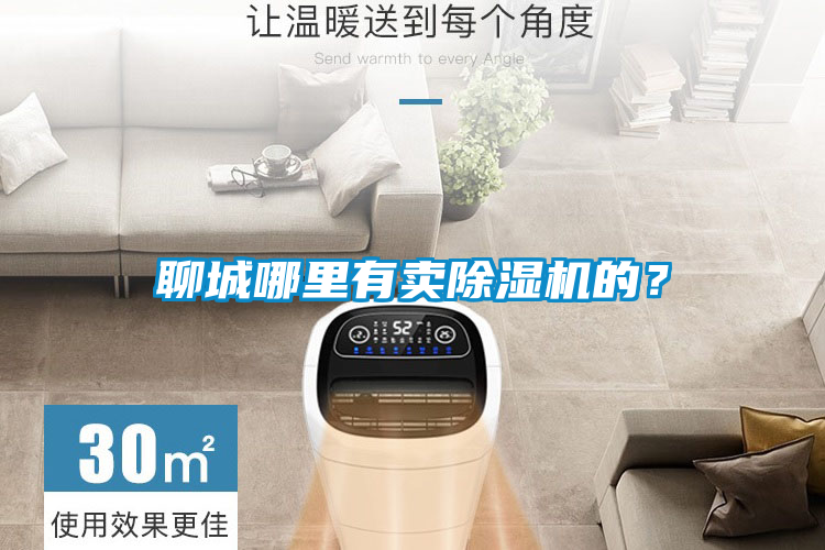 聊城哪里有賣除濕機的?