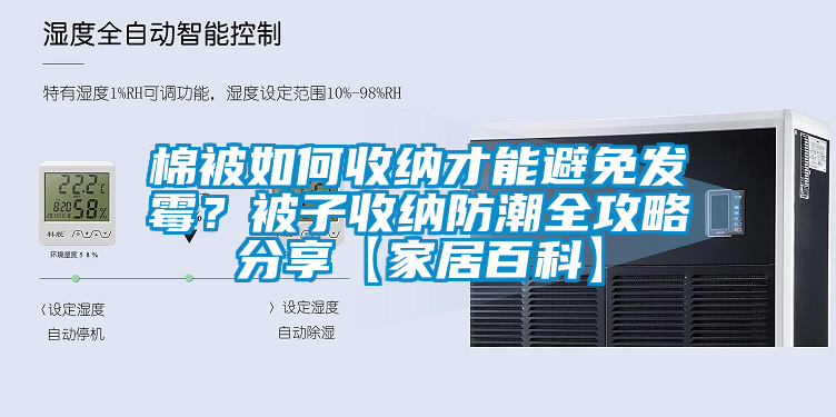 棉被如何收納才能避免發霉?被子收納防潮全攻略分享【家居百科】