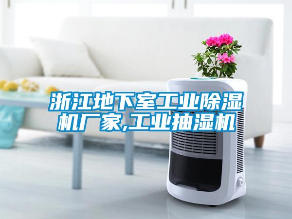 浙江地下室工業除濕機廠家,工業抽濕機