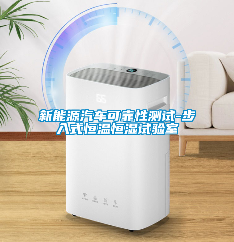 新能源汽車可靠性測試-步入式恒溫恒濕試驗室