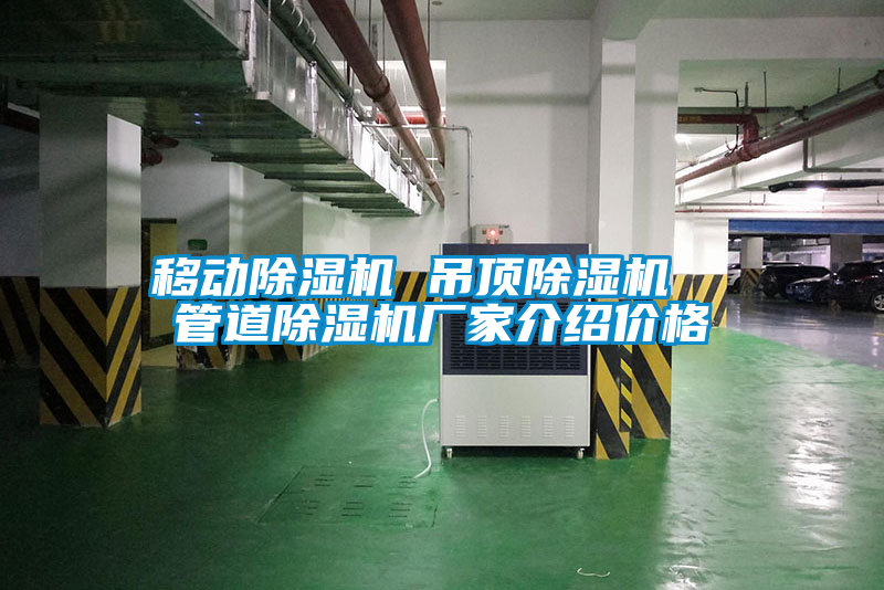 移動除濕機 吊頂除濕機 管道除濕機廠家介紹價格