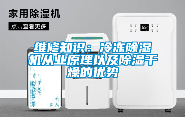 維修知識：冷凍除濕機從業原理以及除濕干燥的優勢