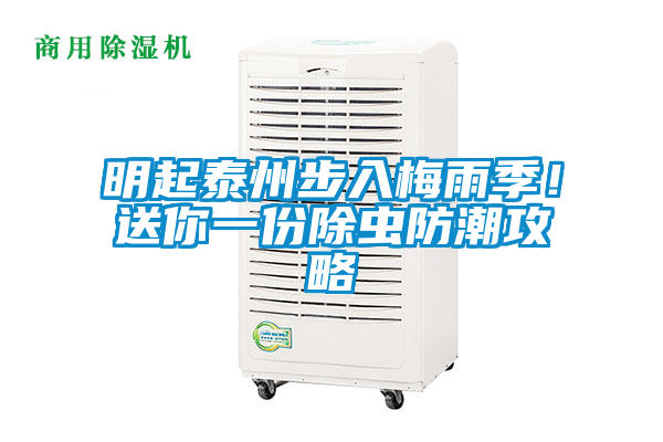 明起泰州步入梅雨季!送你一份除蟲防潮攻略
