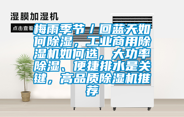梅雨季節／回藍天如何除濕，工業商用除濕機如何選，大功率除濕、便捷排水是關鍵，高品質除濕機推薦