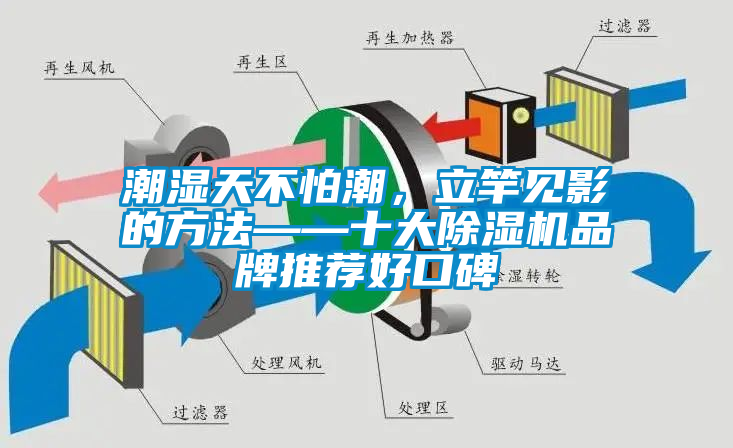 潮濕天不怕潮,立竿見影的方法——十大除濕機品牌推薦好口碑