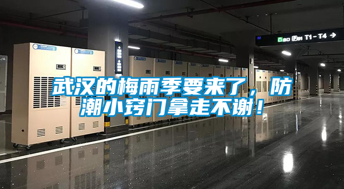 武漢的梅雨季要來了,防潮小竅門拿走不謝!