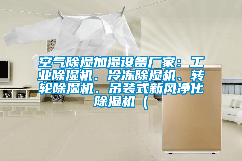 空氣除濕加濕設(shè)備廠家:工業(yè)除濕機、冷凍除濕機、轉(zhuǎn)輪除濕機、吊裝式新風(fēng)凈化除濕機(