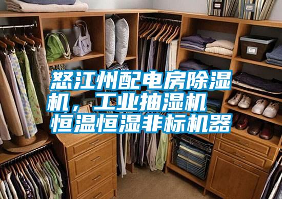 怒江州配電房除濕機，工業(yè)抽濕機  恒溫恒濕非標(biāo)機器