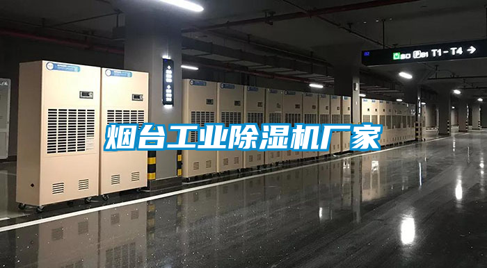煙臺(tái)工業(yè)除濕機(jī)廠家