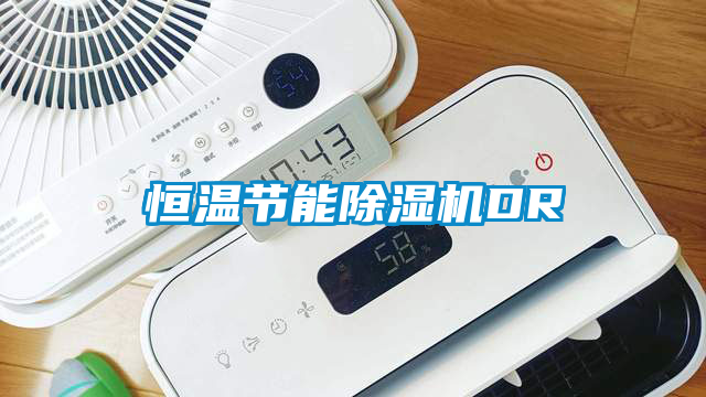 恒溫節(jié)能除濕機DR