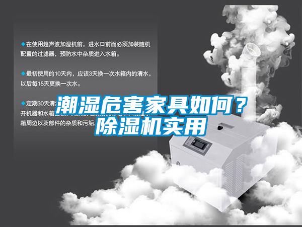 潮濕危害家具如何?除濕機實用