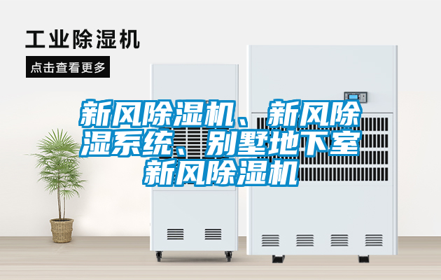 新風(fēng)除濕機(jī)、新風(fēng)除濕系統(tǒng)、別墅地下室新風(fēng)除濕機(jī)