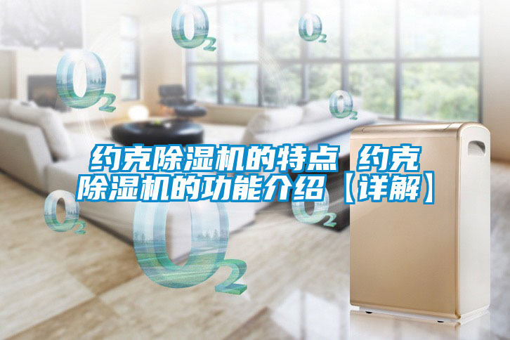 約克除濕機的特點 約克除濕機的功能介紹【詳解】