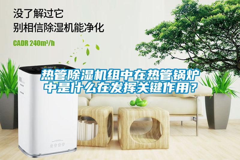 熱管除濕機(jī)組中在熱管鍋爐中是什么在發(fā)揮關(guān)鍵作用？