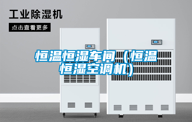 恒溫恒濕車間(恒溫恒濕空調機)