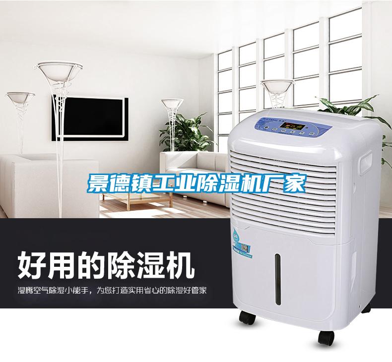 景德鎮工業除濕機廠家