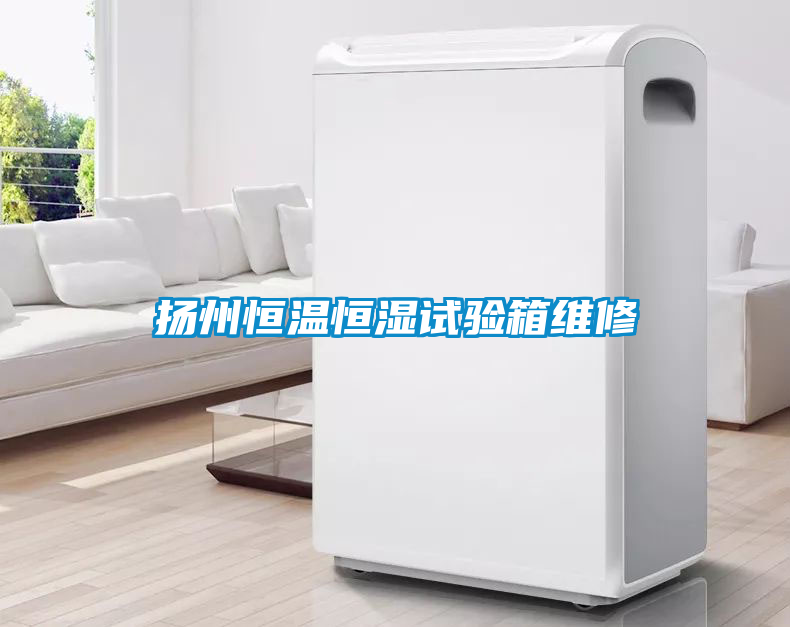 揚(yáng)州恒溫恒濕試驗(yàn)箱維修