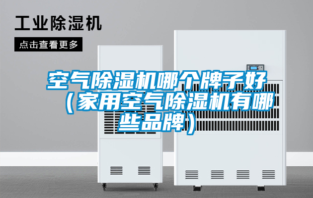 空氣除濕機(jī)哪個牌子好(家用空氣除濕機(jī)有哪些品牌)