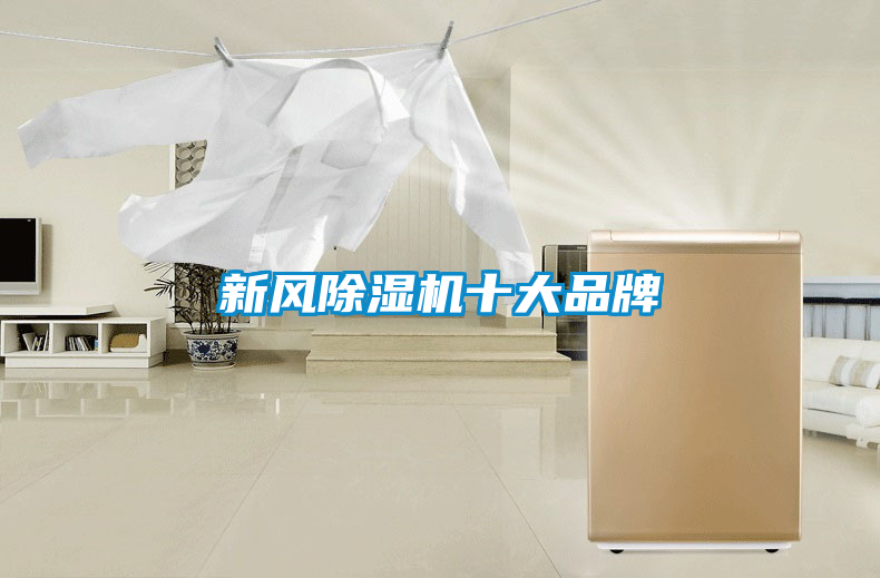 新風(fēng)除濕機(jī)十大品牌