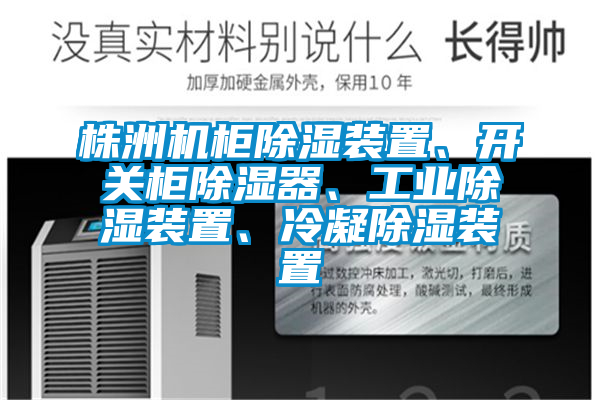株洲機柜除濕裝置、開關柜除濕器、工業除濕裝置、冷凝除濕裝置
