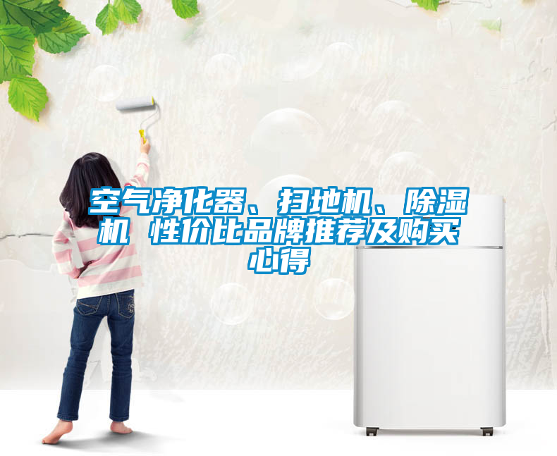 空氣凈化器、掃地機(jī)、除濕機(jī) 性?xún)r(jià)比品牌推薦及購(gòu)買(mǎi)心得