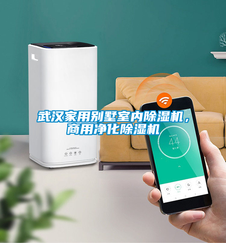 武漢家用別墅室內除濕機,商用凈化除濕機