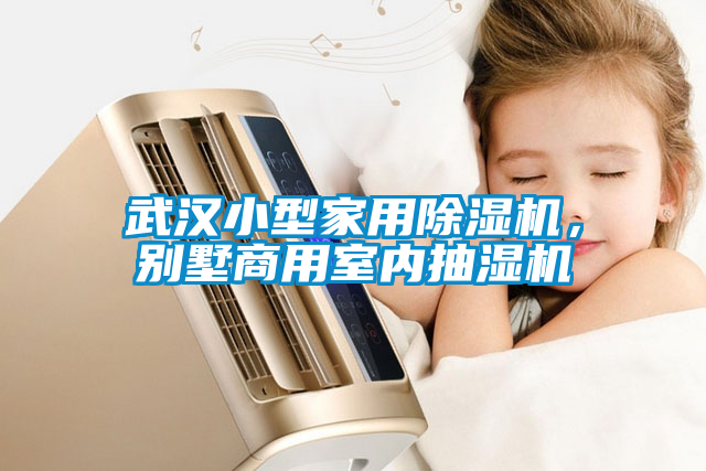 武漢小型家用除濕機，別墅商用室內抽濕機