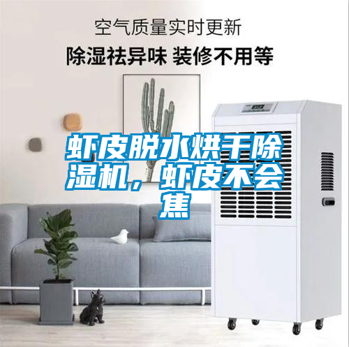 蝦皮脫水烘干除濕機，蝦皮不會焦