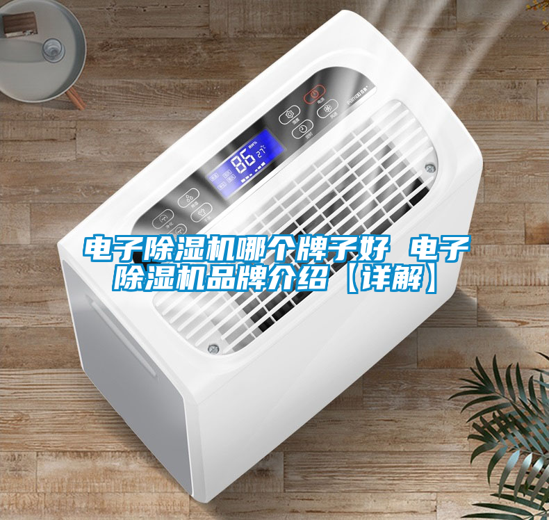 電子除濕機哪個牌子好 電子除濕機品牌介紹【詳解】