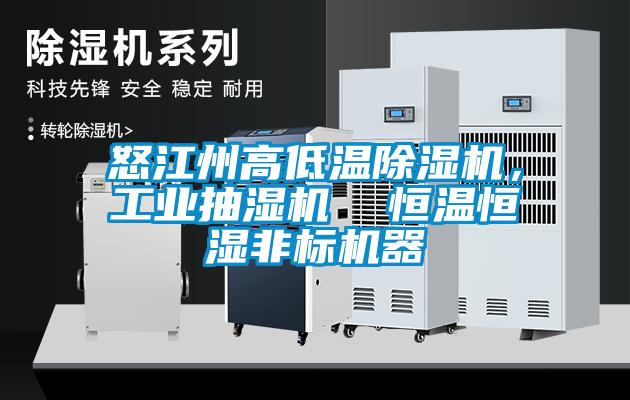 怒江州高低溫除濕機(jī)，工業(yè)抽濕機(jī)  恒溫恒濕非標(biāo)機(jī)器