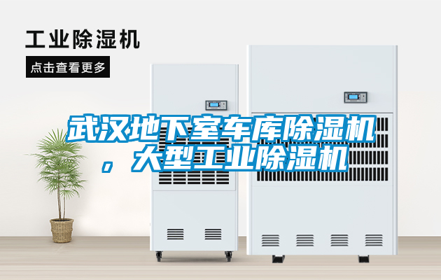 武漢地下室車庫除濕機，大型工業除濕機
