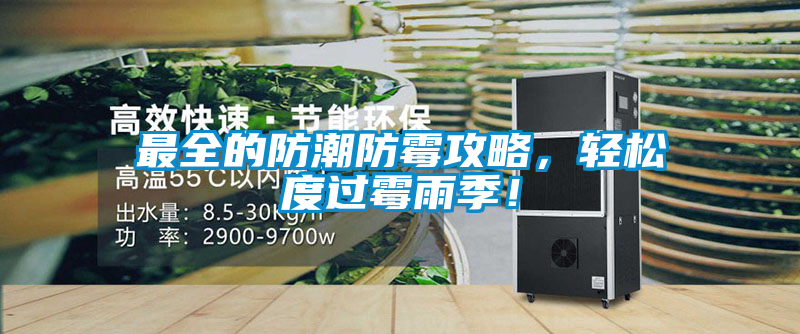 最全的防潮防霉攻略,輕松度過霉雨季!