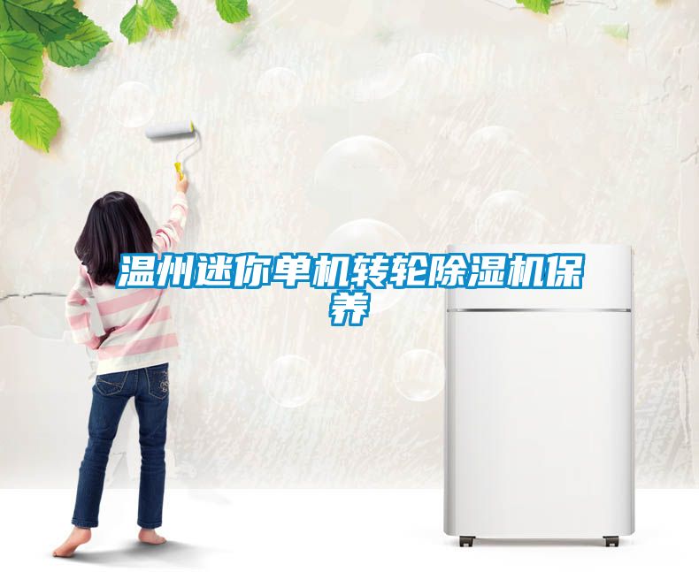 溫州迷你單機轉輪除濕機保養