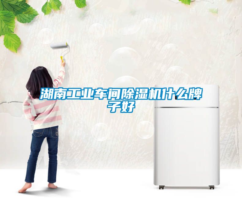 湖南工業車間除濕機什么牌子好