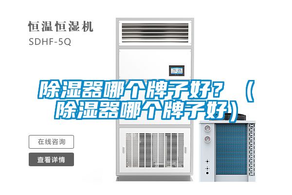 除濕器哪個牌子好?(除濕器哪個牌子好)
