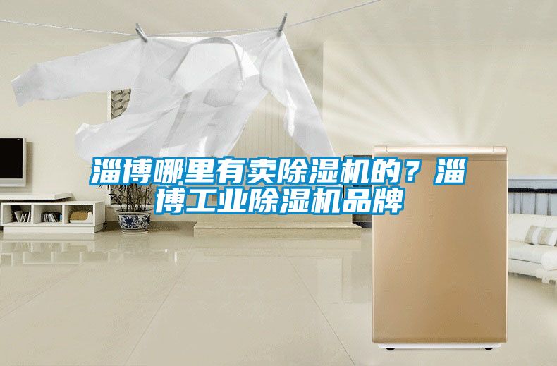 淄博哪里有賣除濕機的?淄博工業除濕機品牌